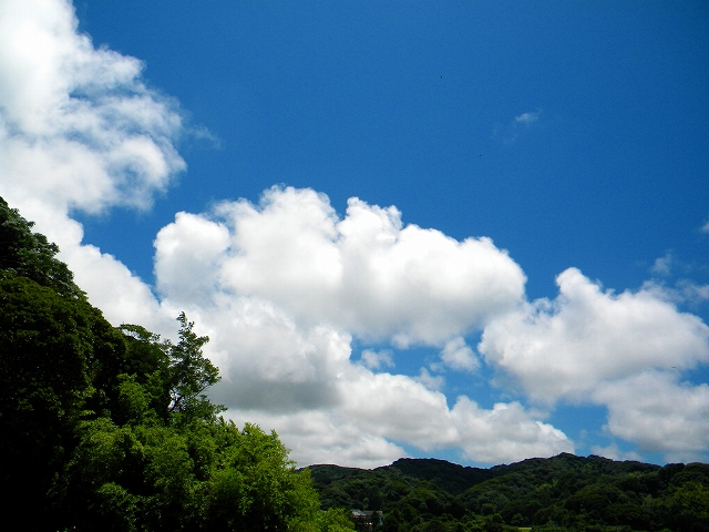 夏雲の季節に　　　　　　　　　　　7月16日_d0013739_128625.jpg