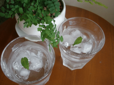 d0163346_134522.gif