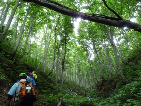 塩の道・大網峠越え_f0019247_2254245.jpg