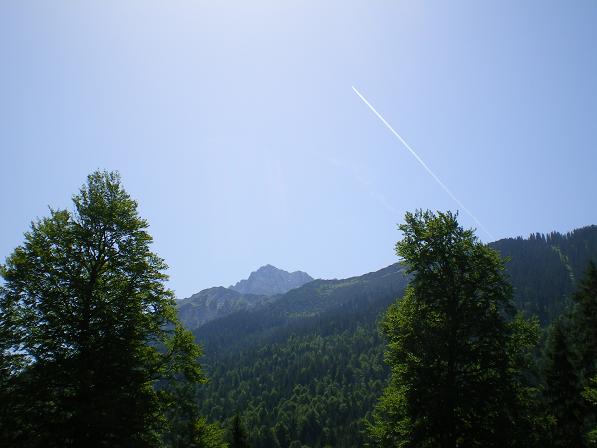 b0175255_3135479.jpg