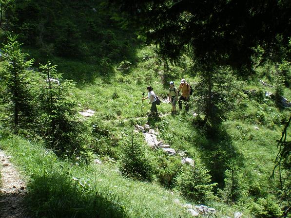 b0175255_317077.jpg