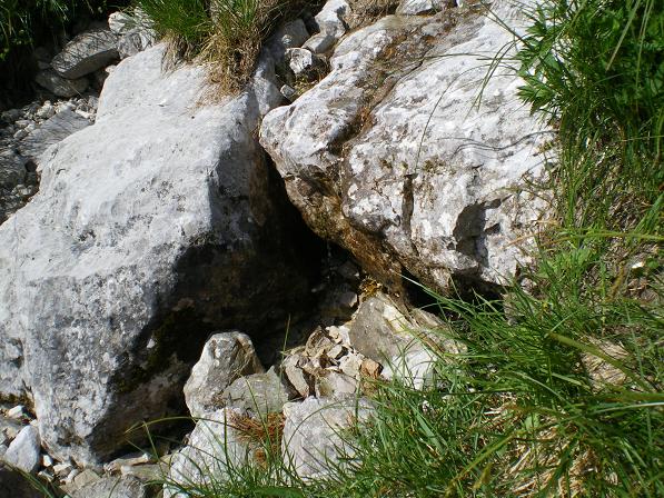 b0175255_3364871.jpg
