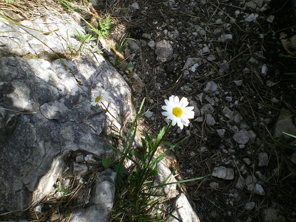 b0175255_345184.jpg