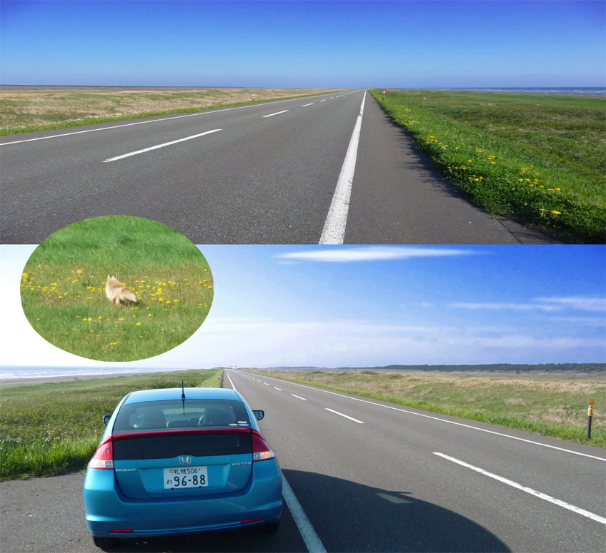 ★3日目6/1 JR車窓からの美しい風景を楽しみながら、北海道へ旅してきました♪♪ _c0156359_0245642.jpg