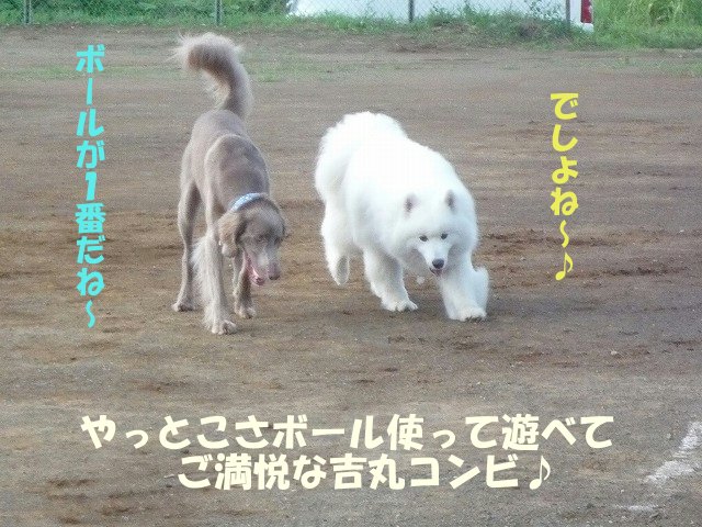 e0176159_10305025.jpg