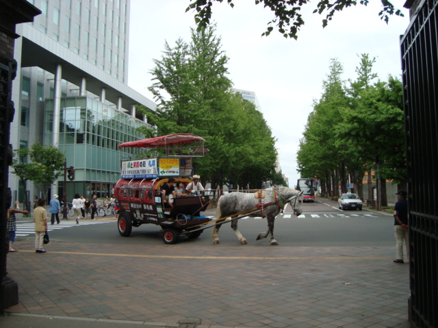 銀太くんと馬車_f0232060_0563161.jpg