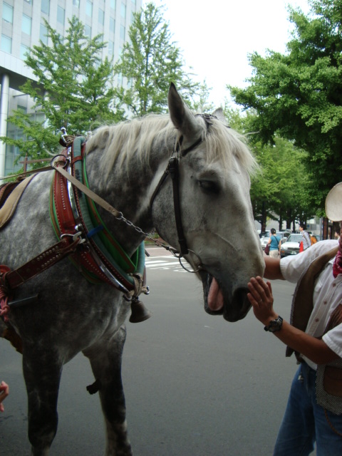 銀太くんと馬車_f0232060_0574333.jpg