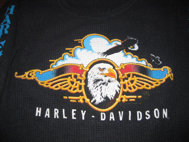 ＨＡＲＬＥＹ－ＤＡＶＩＤＳＯＮ祭り！！_a0108963_1912222.jpg