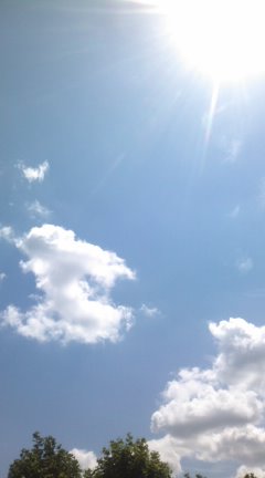 b0117367_18483717.jpg