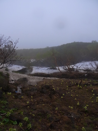 e0187567_03007.jpg