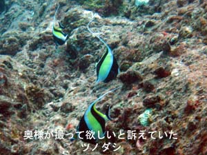 3回目の体験ダイビングはプーケットで!!_f0144385_21151062.jpg