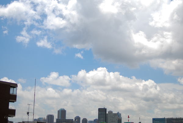 d0114093_11245027.jpg