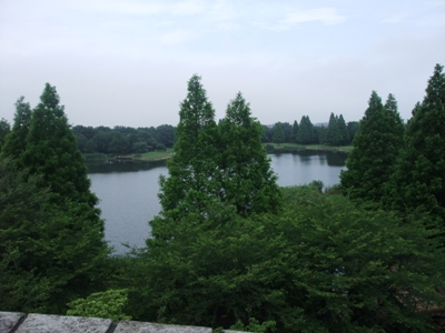 d0153294_2141272.jpg