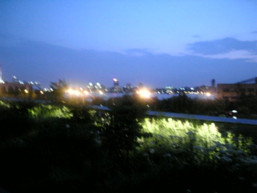 a0126797_3392134.jpg