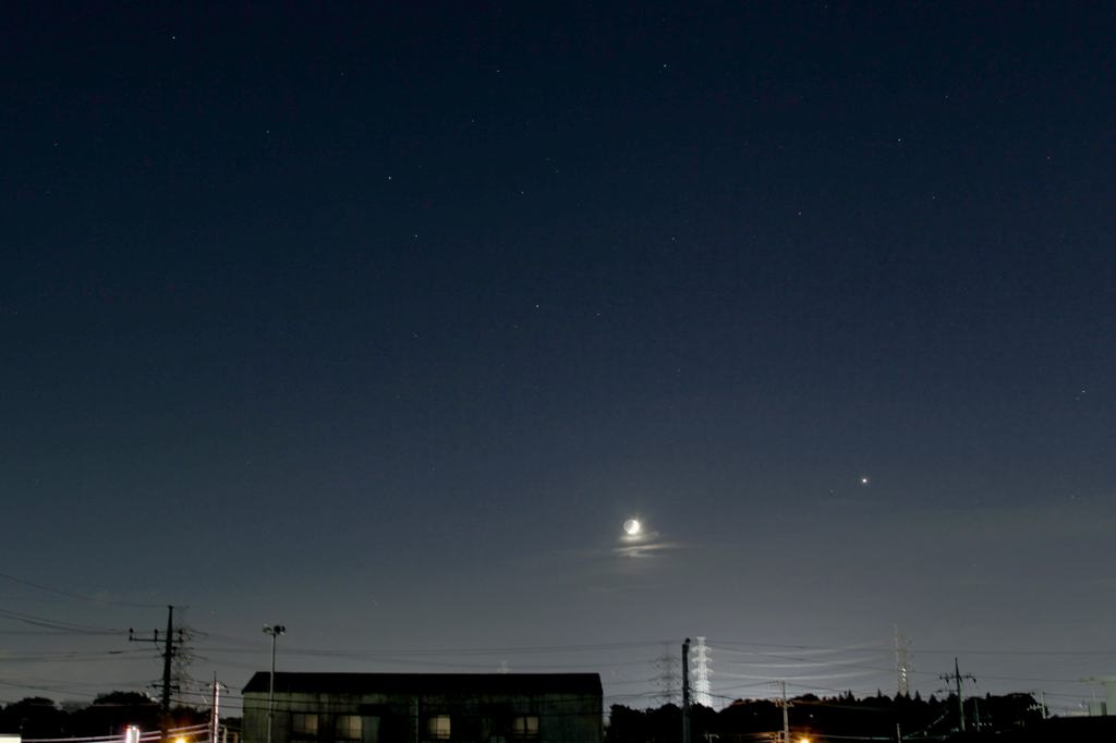 カワセミ二番子孵化の頃/三日月と三大惑星_b0024798_10261273.jpg