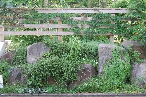 c0124100_22434123.jpg