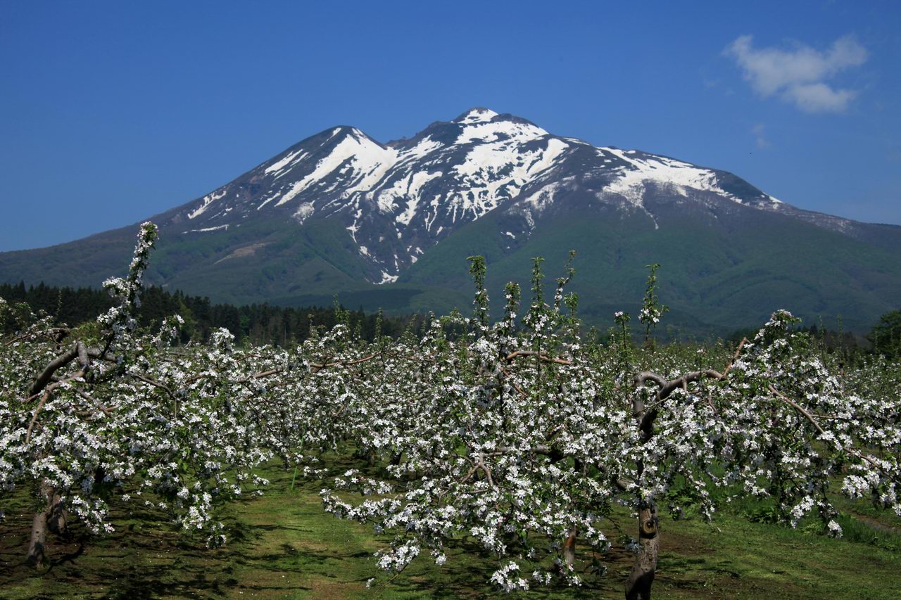 岩木山 津軽富士は素晴らしかった 山好き的日々 京都北山