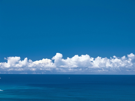 c0072801_4284330.jpg