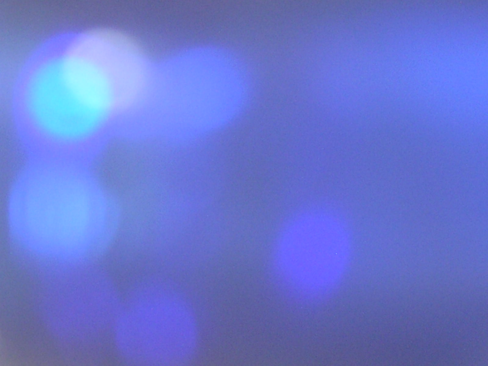 kind of Blue ~♪_f0146802_0365871.jpg