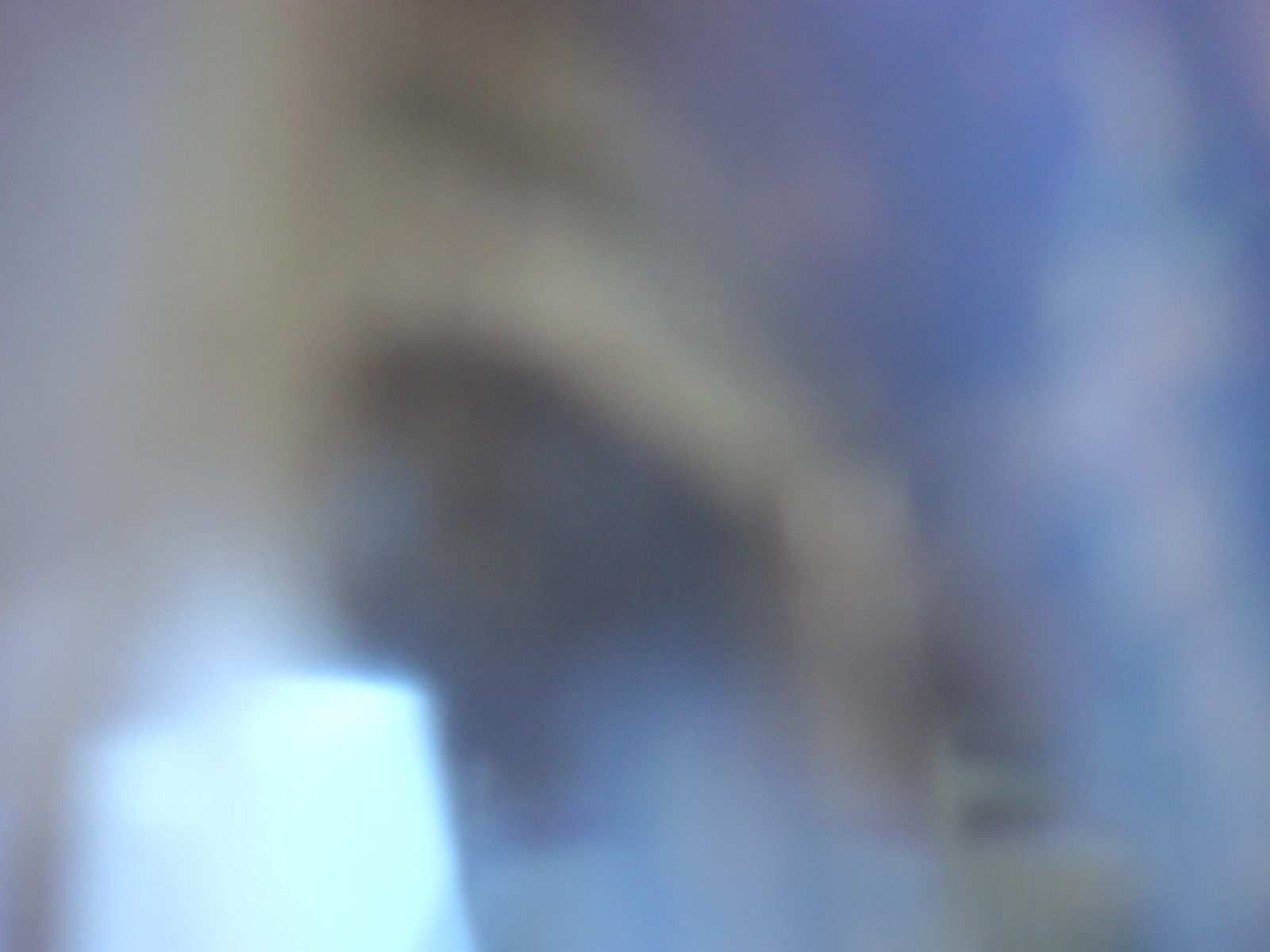 kind of Blue ~♪_f0146802_038564.jpg