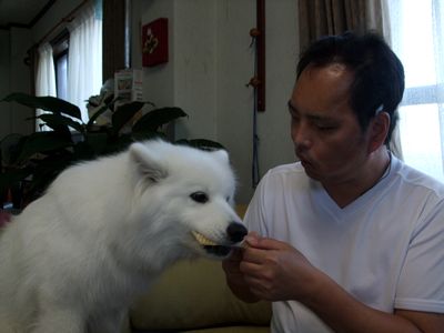 d0149103_12533139.jpg