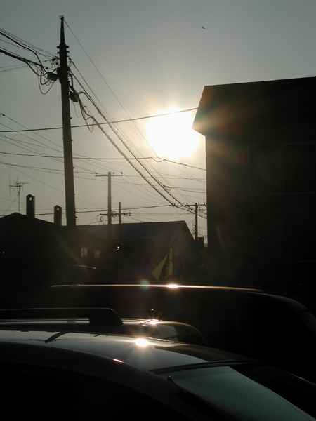 c0170208_828386.jpg