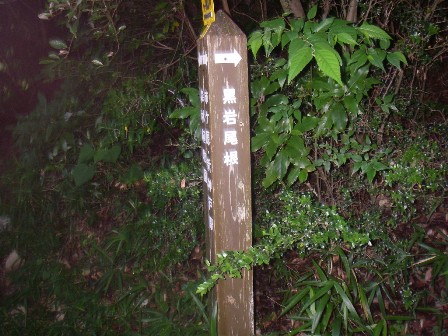 10.07.17(土) 涼しい六甲早朝ハイキング_a0062810_1410326.jpg