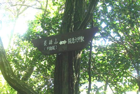 10.07.17(土) 涼しい六甲早朝ハイキング_a0062810_14115748.jpg