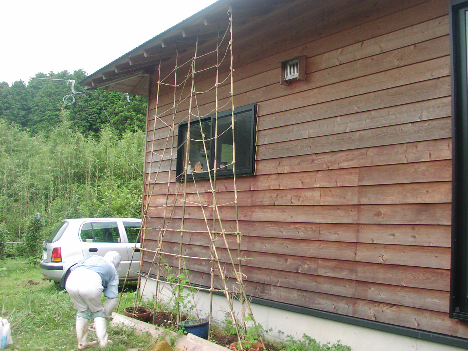 f0164410_20314843.jpg