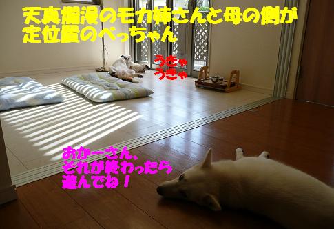 f0121712_1602939.jpg