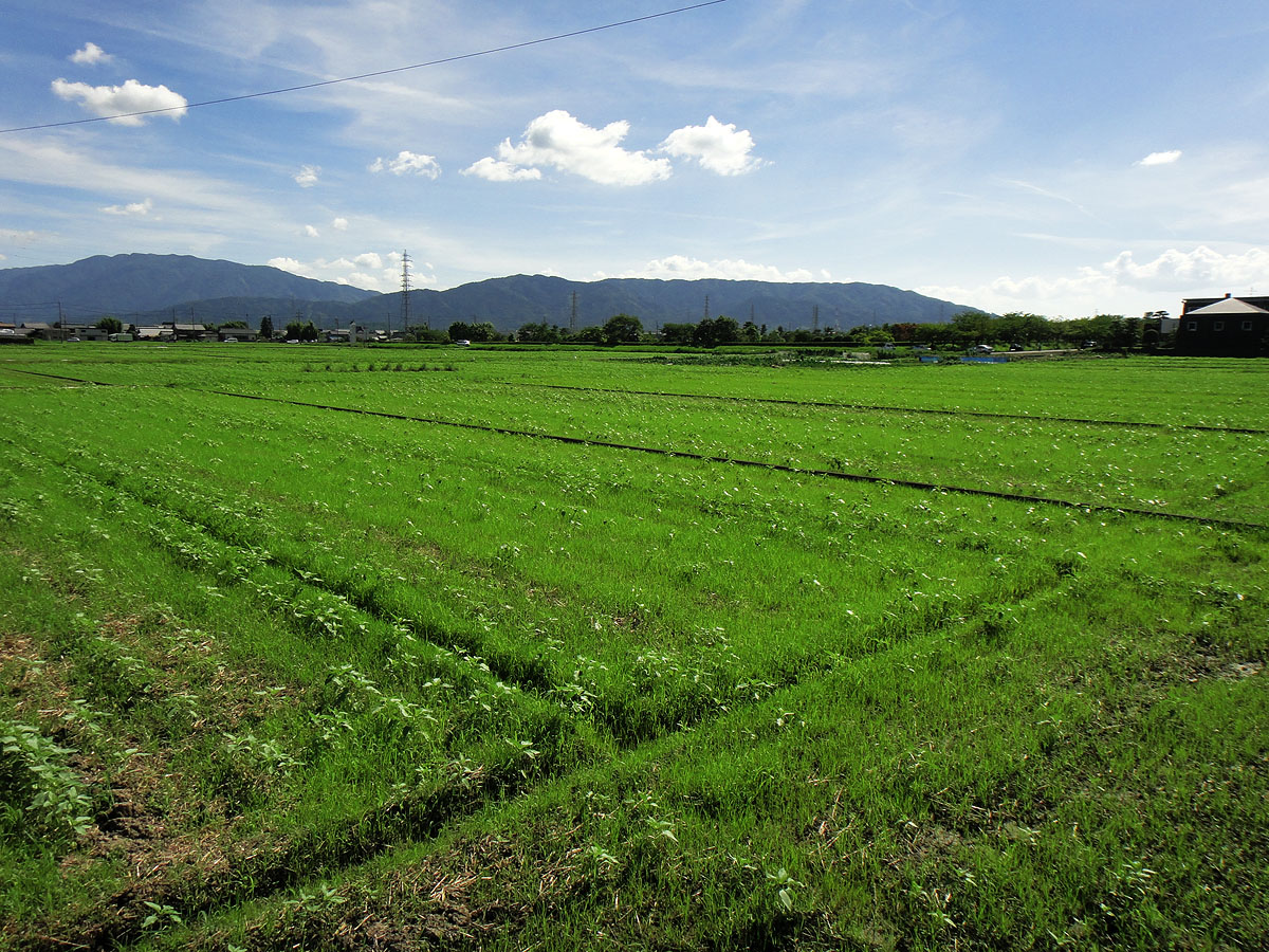 c0115616_17451946.jpg
