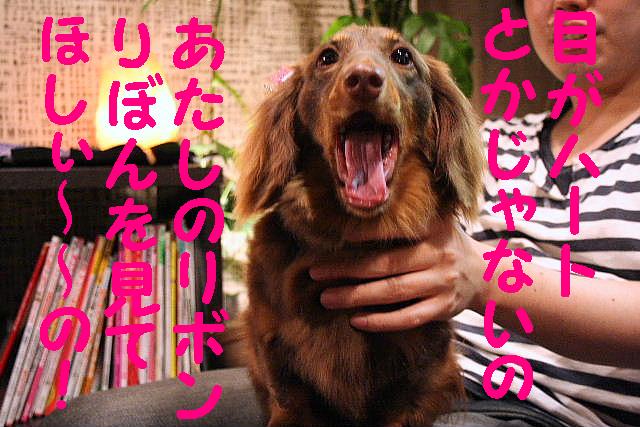 いっぱいあっぷ～♪_b0130018_2049592.jpg