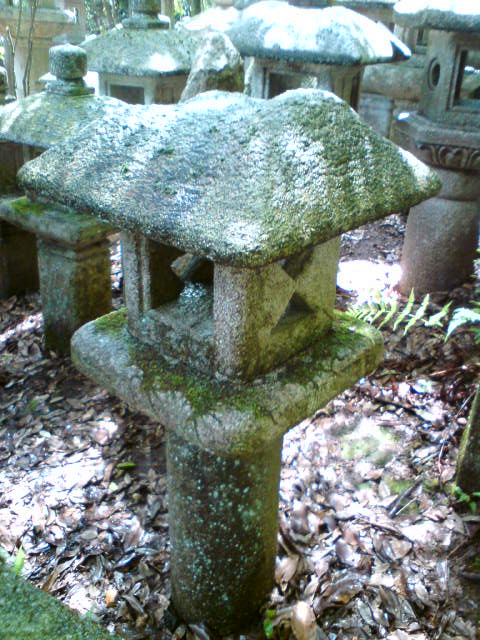 f0183722_1475440.jpg