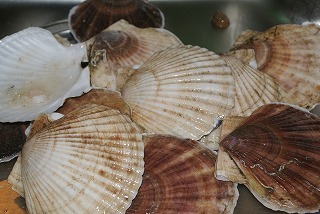 f0170524_12153428.jpg