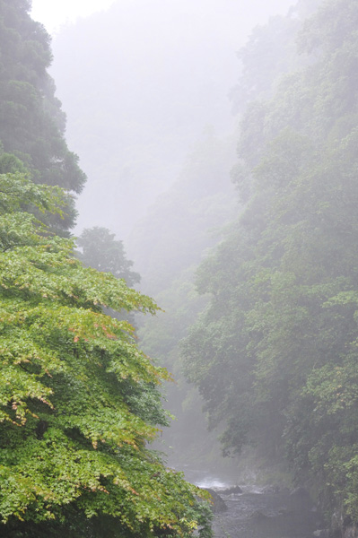 c0211429_14312857.jpg