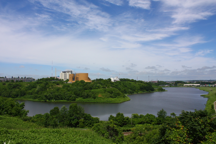 春採湖の夏 7月17日_f0113639_1848082.jpg
