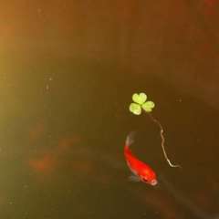 a0051440_1231836.jpg