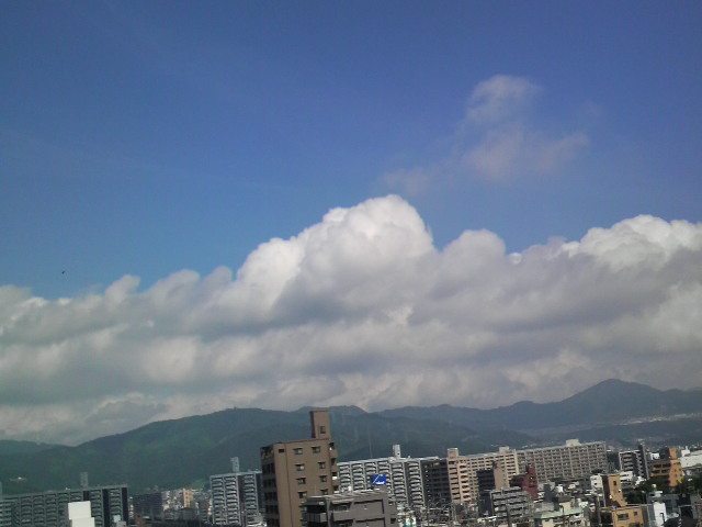 a0105740_8595297.jpg