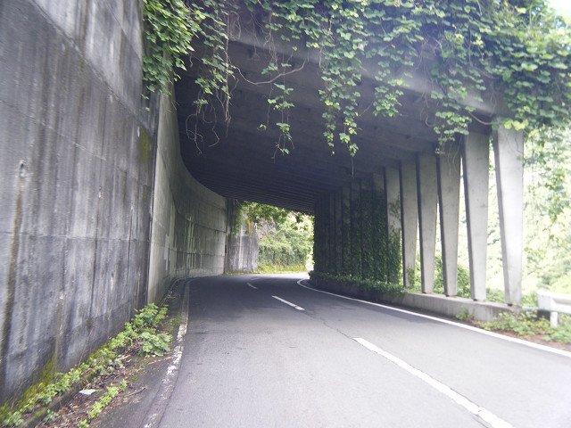 b0088444_21352781.jpg