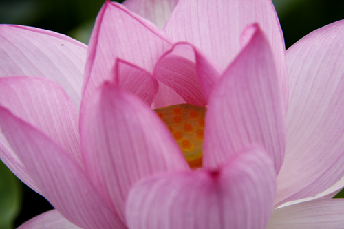 b0016545_1145291.jpg
