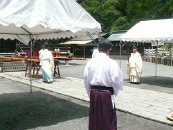 三嶋大社　八坂大神御輿渡御祭  2010_c0087349_1125999.jpg