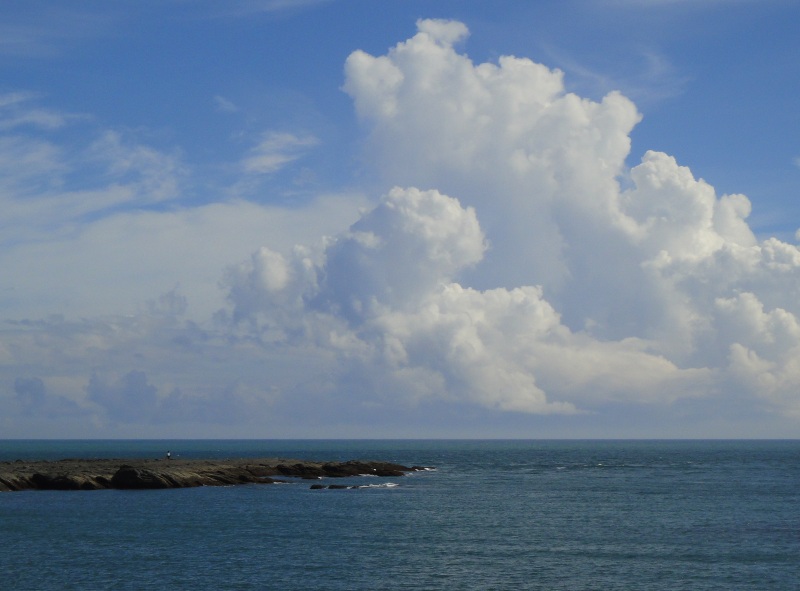 c0024254_81318.jpg