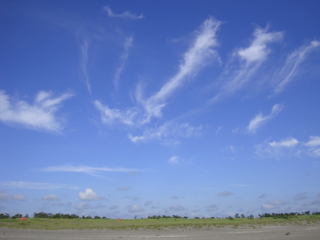 d0143957_16494525.jpg