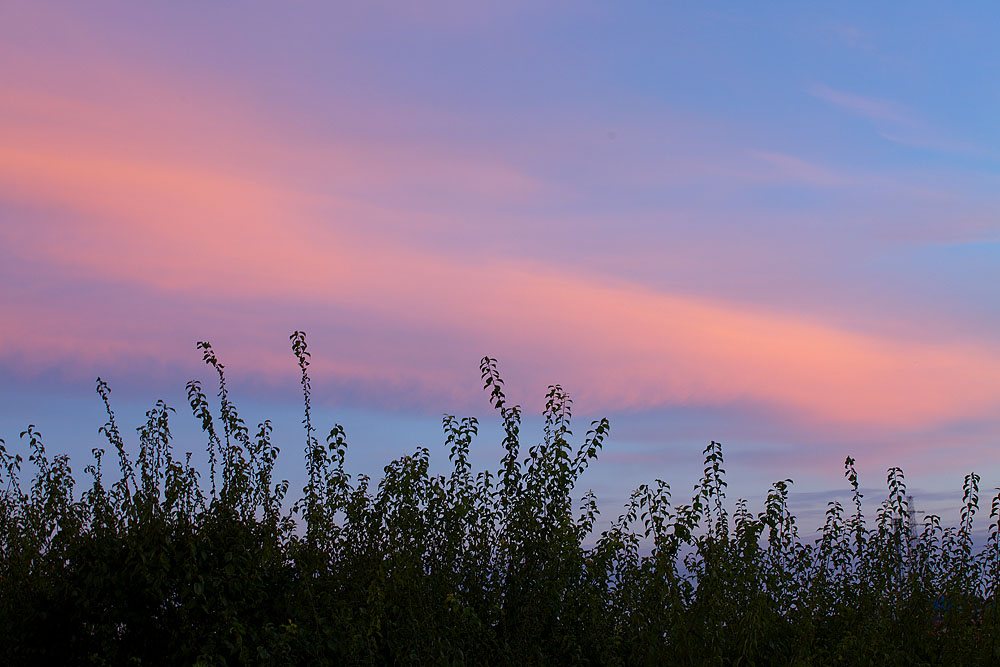a0146658_94371.jpg