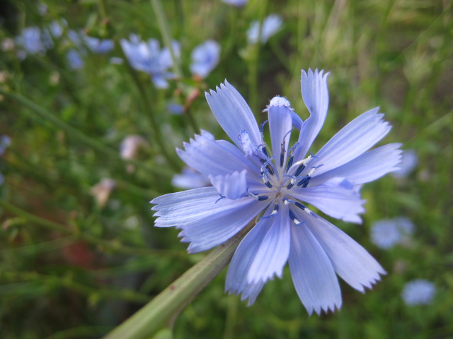 e0121558_05077.jpg