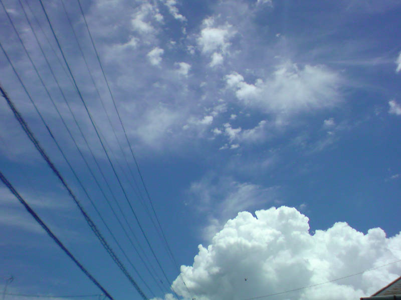 e0033459_2085185.jpg