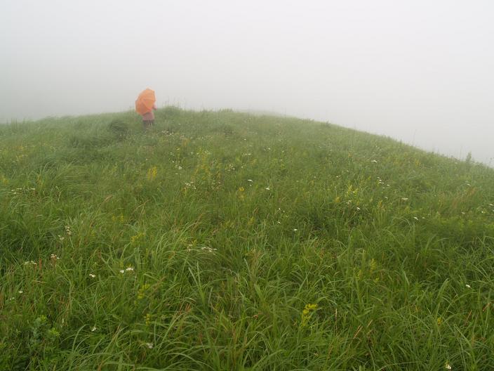 由布岳へ梅雨明け登山。_f0016066_20122716.jpg