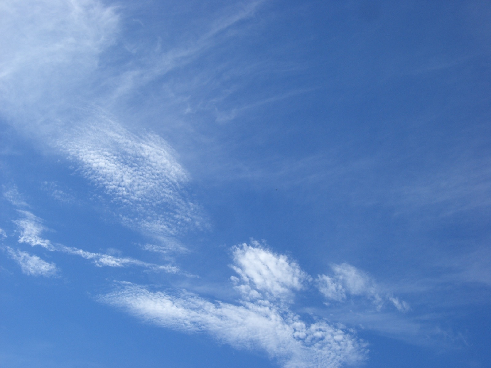一気に夏_d0047569_9113217.jpg
