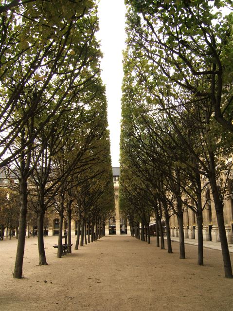 f0119071_7344538.jpg