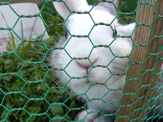 梅雨明け宣言_d0165772_20102356.jpg